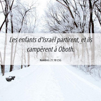 Picture 06 - Nombres 21:10 LSG - Les enfants d'Israël partirent, et ils - Bible Verse Picture