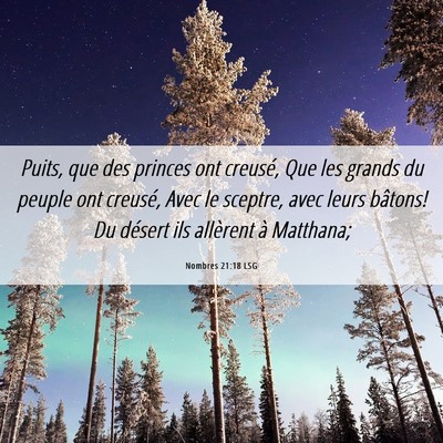 Picture 06 - Nombres 21:18 LSG - Puits, que des princes ont creusé, Que les - Bible Verse Picture