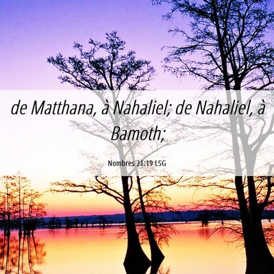 Picture 06 - Nombres 21:19 LSG - de Matthana, à Nahaliel; de Nahaliel, à - Bible Verse Picture