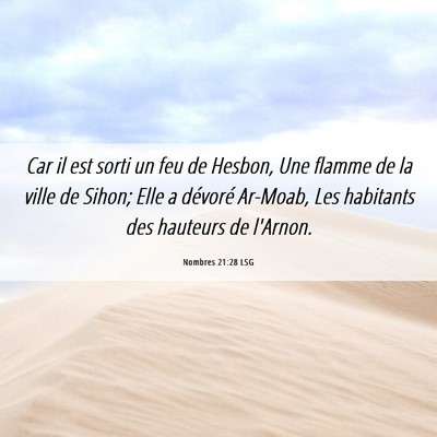 Picture 06 - Nombres 21:28 LSG - Car il est sorti un feu de Hesbon, Une flamme de - Bible Verse Picture