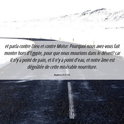 Picture 06 - Nombres 21:5 LSG - et parla contre Dieu et contre Moïse: Pourquoi - Bible Verse Picture