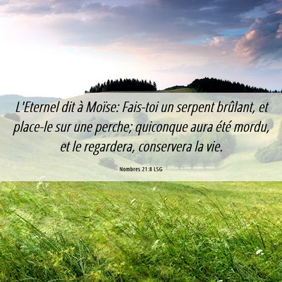 Picture 06 - Nombres 21:8 LSG - L'Eternel dit à Moïse: Fais-toi un serpent - Bible Verse Picture