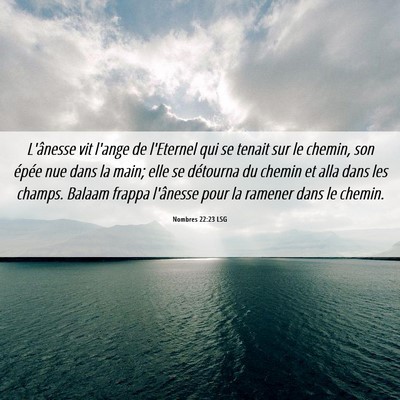 Picture 06 - Nombres 22:23 LSG - L'ânesse vit l'ange de l'Eternel qui se tenait - Bible Verse Picture