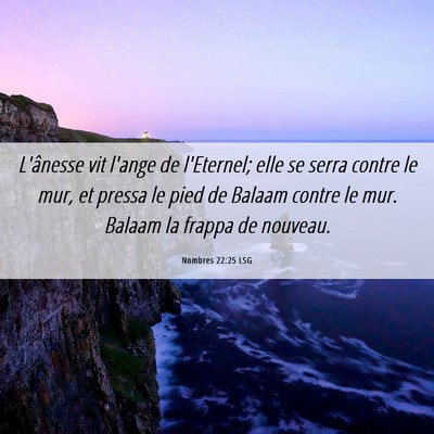 Picture 06 - Nombres 22:25 LSG - L'ânesse vit l'ange de l'Eternel; elle se serra - Bible Verse Picture