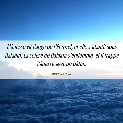 Picture 06 - Nombres 22:27 LSG - L'ânesse vit l'ange de l'Eternel, et elle - Bible Verse Picture