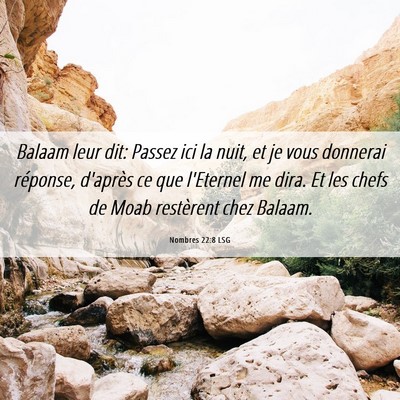 Picture 06 - Nombres 22:8 LSG - Balaam leur dit: Passez ici la nuit, et je vous - Bible Verse Picture