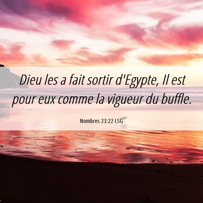 Picture 06 - Nombres 23:22 LSG - Dieu les a fait sortir d'Egypte, Il est pour eux - Bible Verse Picture