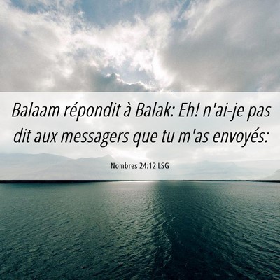 Picture 06 - Nombres 24:12 LSG - Balaam répondit à Balak: Eh! n'ai-je pas dit - Bible Verse Picture