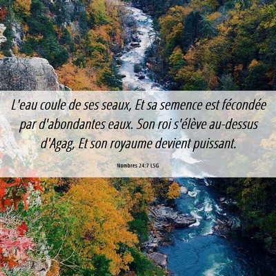 Picture 06 - Nombres 24:7 LSG - L'eau coule de ses seaux, Et sa semence est - Bible Verse Picture