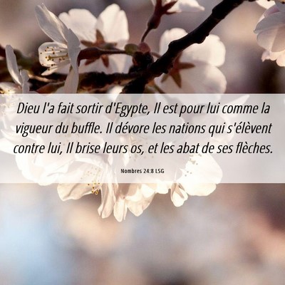 Picture 06 - Nombres 24:8 LSG - Dieu l'a fait sortir d'Egypte, Il est pour lui - Bible Verse Picture