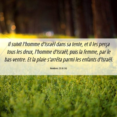 Picture 06 - Nombres 25:8 LSG - Il suivit l'homme d'Israël dans sa tente, et il - Bible Verse Picture