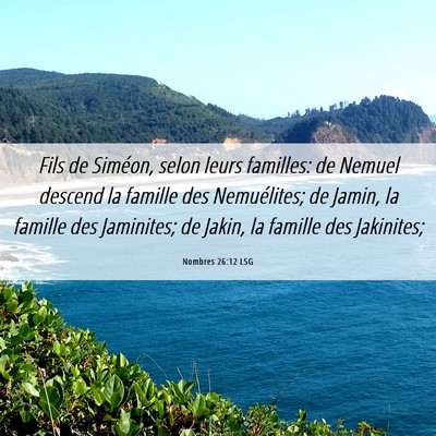 Picture 06 - Nombres 26:12 LSG - Fils de Siméon, selon leurs familles: de Nemuel - Bible Verse Picture