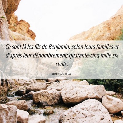 Picture 06 - Nombres 26:41 LSG - Ce sont là les fils de Benjamin, selon leurs - Bible Verse Picture