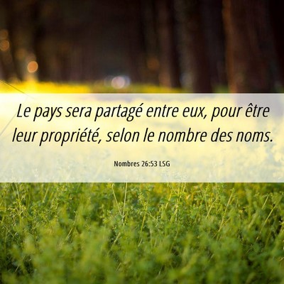 Picture 06 - Nombres 26:53 LSG - Le pays sera partagé entre eux, pour être leur - Bible Verse Picture