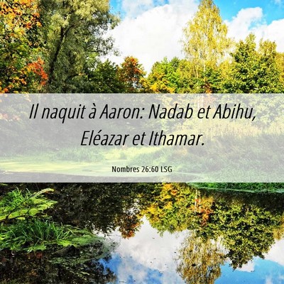Picture 06 - Nombres 26:60 LSG - Il naquit à Aaron: Nadab et Abihu, Eléazar et - Bible Verse Picture
