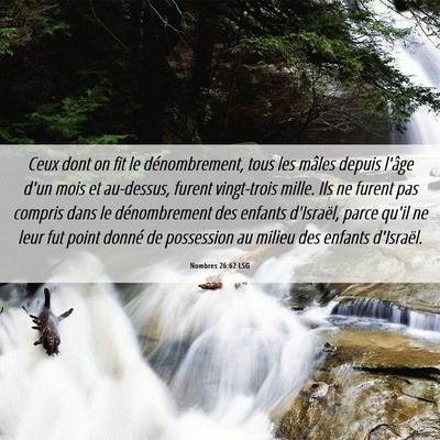 Picture 06 - Nombres 26:62 LSG - Ceux dont on fit le dénombrement, tous les - Bible Verse Picture