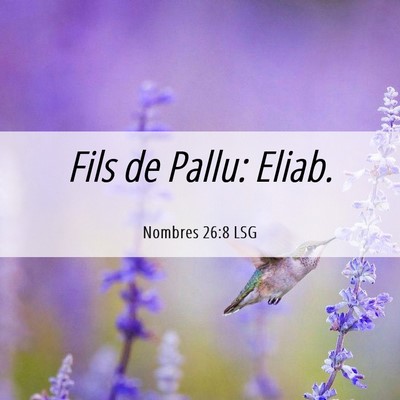 Picture 06 - Nombres 26:8 LSG - Fils de Pallu: - Bible Verse Picture