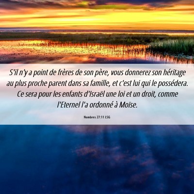 Picture 06 - Nombres 27:11 LSG - S'il n'y a point de frères de son père, vous - Bible Verse Picture