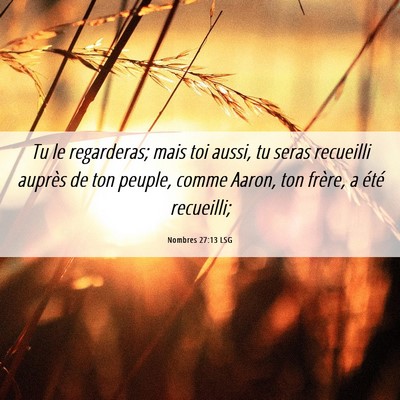 Picture 06 - Nombres 27:13 LSG - Tu le regarderas; mais toi aussi, tu seras - Bible Verse Picture