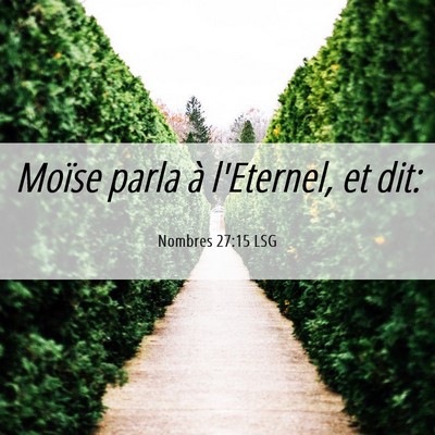 Picture 06 - Nombres 27:15 LSG - Moïse parla à l'Eternel, et - Bible Verse Picture