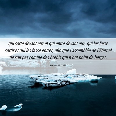 Picture 06 - Nombres 27:17 LSG - qui sorte devant eux et qui entre devant eux, qui - Bible Verse Picture