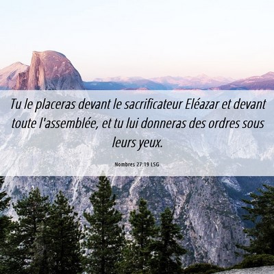 Picture 06 - Nombres 27:19 LSG - Tu le placeras devant le sacrificateur Eléazar - Bible Verse Picture
