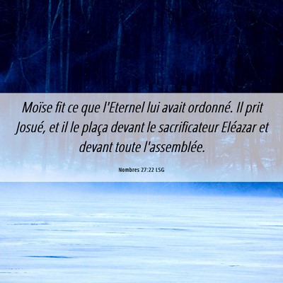Picture 06 - Nombres 27:22 LSG - Moïse fit ce que l'Eternel lui avait ordonné. - Bible Verse Picture