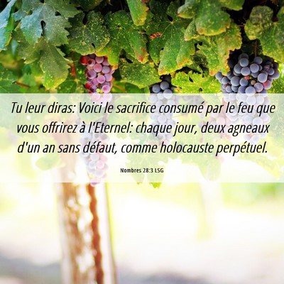 Picture 06 - Nombres 28:3 LSG - Tu leur diras: Voici le sacrifice consumé par le - Bible Verse Picture