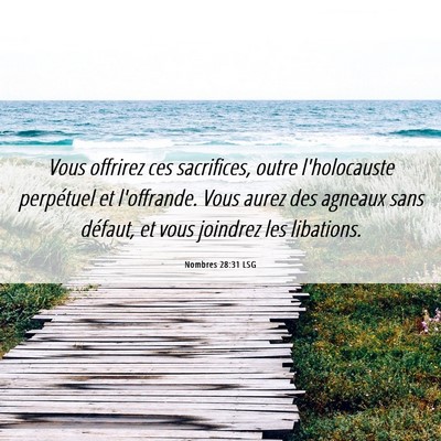 Picture 06 - Nombres 28:31 LSG - Vous offrirez ces sacrifices, outre l'holocauste - Bible Verse Picture