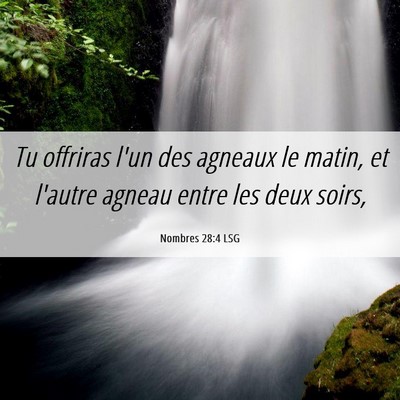 Picture 06 - Nombres 28:4 LSG - Tu offriras l'un des agneaux le matin, et l'autre - Bible Verse Picture