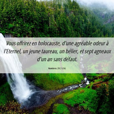 Picture 06 - Nombres 29:2 LSG - Vous offrirez en holocauste, d'une agréable - Bible Verse Picture