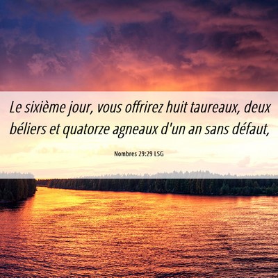 Picture 06 - Nombres 29:29 LSG - Le sixième jour, vous offrirez huit taureaux, - Bible Verse Picture