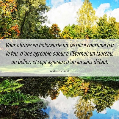Picture 06 - Nombres 29:36 LSG - Vous offrirez en holocauste un sacrifice consumé - Bible Verse Picture
