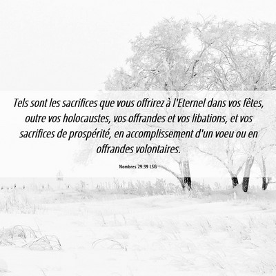 Picture 06 - Nombres 29:39 LSG - Tels sont les sacrifices que vous offrirez à - Bible Verse Picture