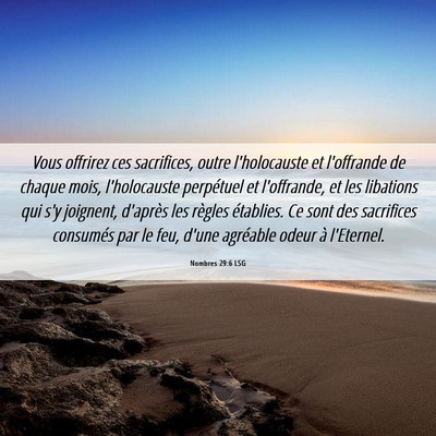 Picture 06 - Nombres 29:6 LSG - Vous offrirez ces sacrifices, outre l'holocauste - Bible Verse Picture