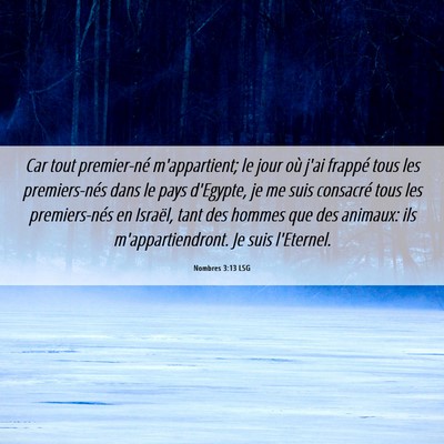 Picture 06 - Nombres 3:13 LSG - Car tout premier-né m'appartient; le jour où - Bible Verse Picture