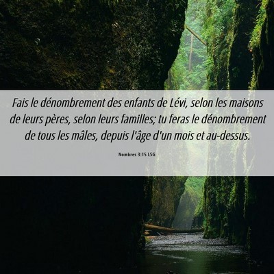 Picture 06 - Nombres 3:15 LSG - Fais le dénombrement des enfants de Lévi, selon - Bible Verse Picture