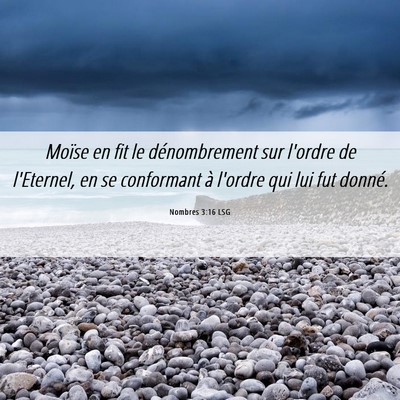 Picture 06 - Nombres 3:16 LSG - Moïse en fit le dénombrement sur l'ordre de - Bible Verse Picture