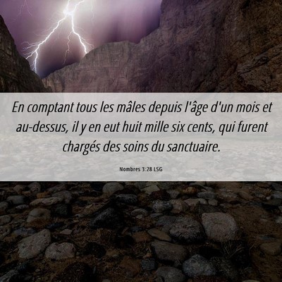 Picture 06 - Nombres 3:28 LSG - En comptant tous les mâles depuis l'âge d'un - Bible Verse Picture