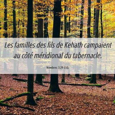 Picture 06 - Nombres 3:29 LSG - Les familles des fils de Kehath campaient au - Bible Verse Picture