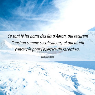 Picture 06 - Nombres 3:3 LSG - Ce sont là les noms des fils d'Aaron, qui - Bible Verse Picture