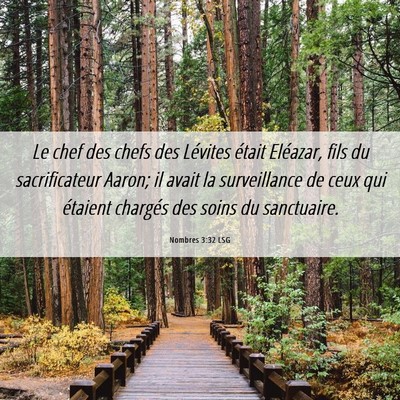 Picture 06 - Nombres 3:32 LSG - Le chef des chefs des Lévites était Eléazar, - Bible Verse Picture