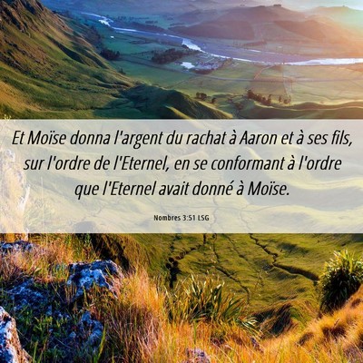 Picture 06 - Nombres 3:51 LSG - Et Moïse donna l'argent du rachat à Aaron et à - Bible Verse Picture
