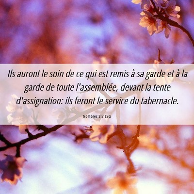 Picture 06 - Nombres 3:7 LSG - Ils auront le soin de ce qui est remis à sa - Bible Verse Picture