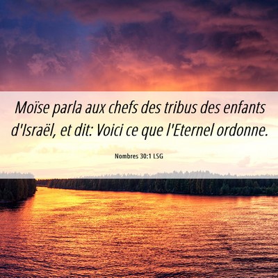 Picture 06 - Nombres 30:1 LSG - Moïse parla aux chefs des tribus des enfants - Bible Verse Picture