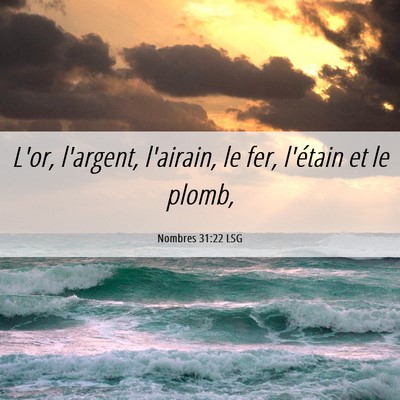 Picture 06 - Nombres 31:22 LSG - L'or, l'argent, l'airain, le fer, l'étain et le - Bible Verse Picture