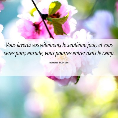 Picture 06 - Nombres 31:24 LSG - Vous laverez vos vêtements le septième jour, et - Bible Verse Picture