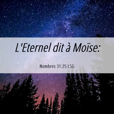 Picture 06 - Nombres 31:25 LSG - L'Eternel dit à - Bible Verse Picture