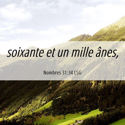 Picture 06 - Nombres 31:34 LSG - soixante et un mille - Bible Verse Picture