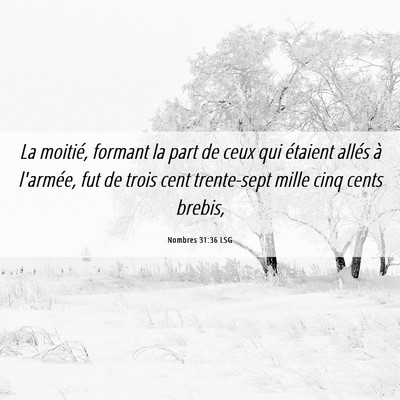 Picture 06 - Nombres 31:36 LSG - La moitié, formant la part de ceux qui étaient - Bible Verse Picture